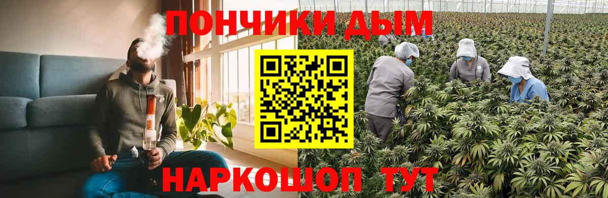 Канабис Amnesia Курчалой